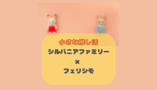 サブスク感覚でシルバニア！フェリシモ コラボを調べてみた！大人の「小さな推し活」